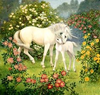 Unicorn With Foal Image